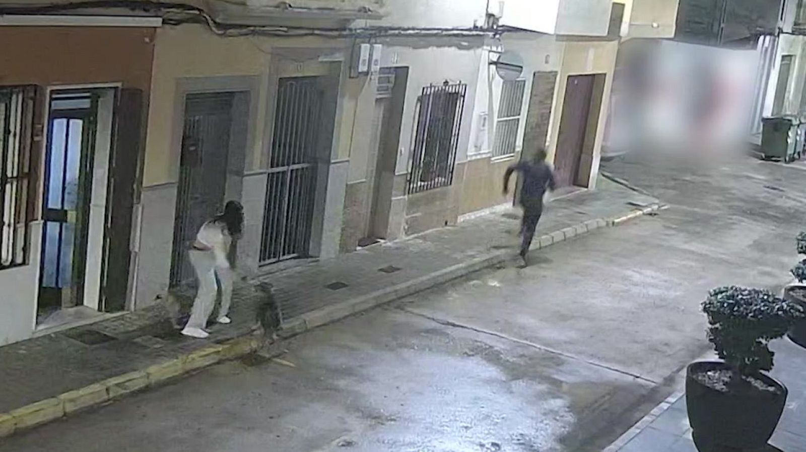 Sus perros evitan un secuestro exprés - Mañaneros 360 | Ver