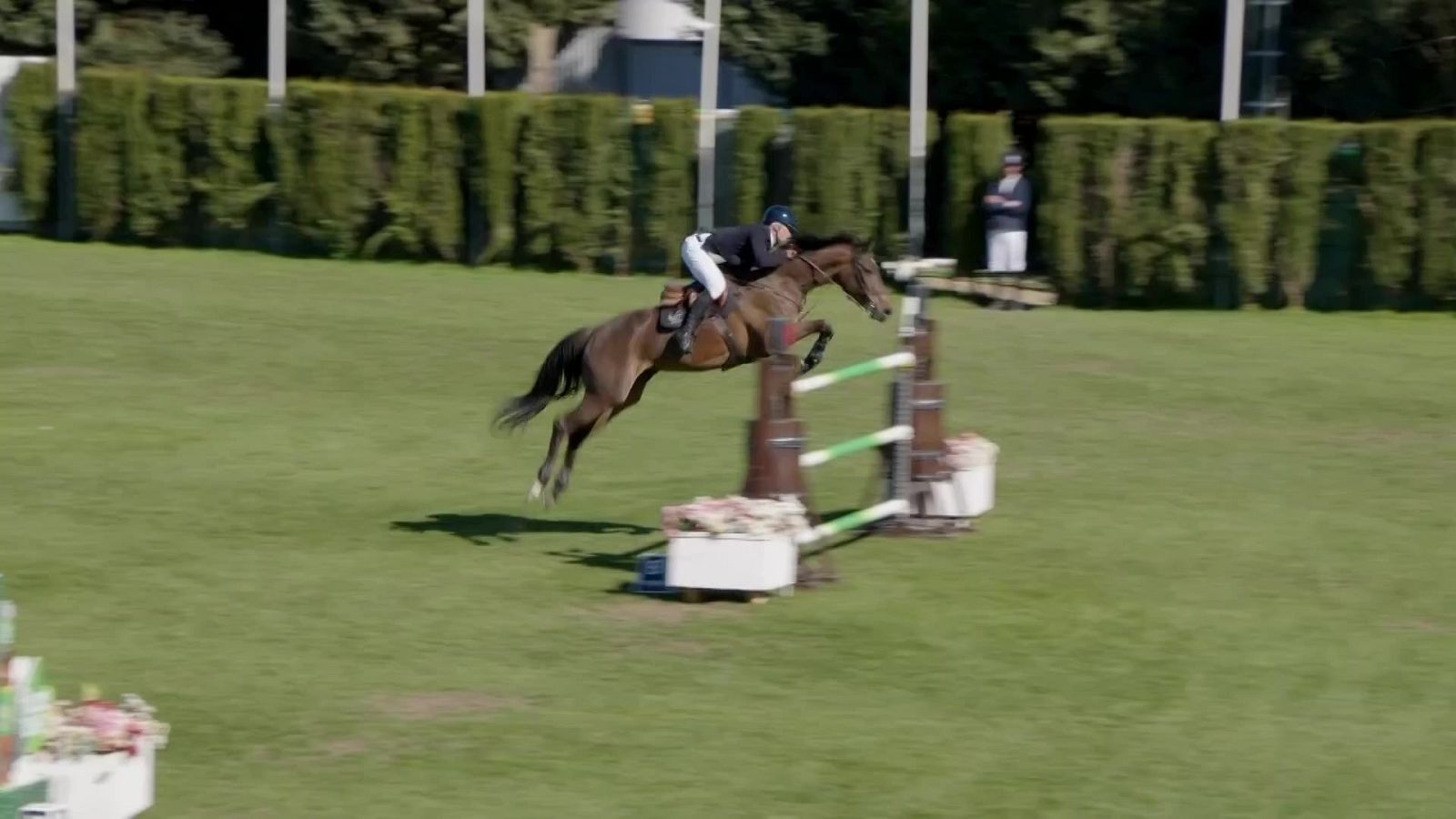 Hípica - Concurso de Saltos Circuito Hípico del Sol. GP Junta de Andalucía - Hípica | Ver