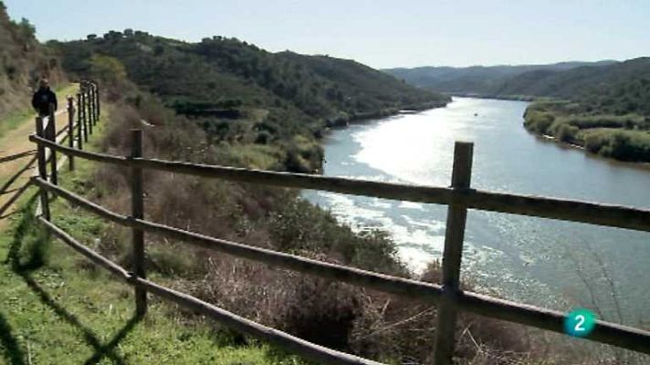 Biodiario - Biodiario - 20/02/13