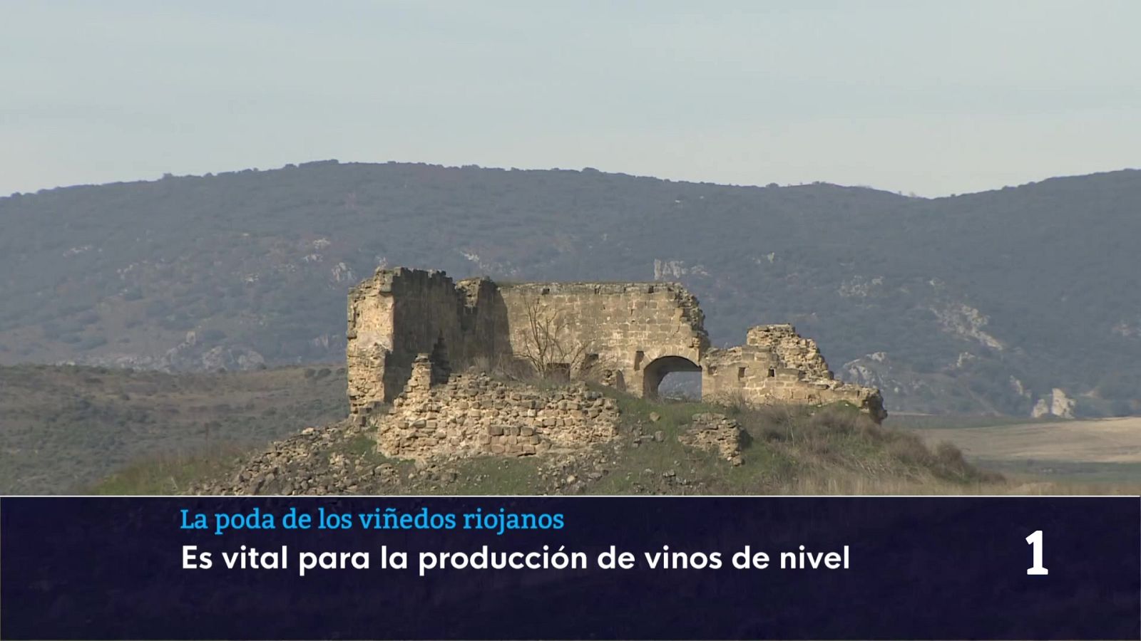 Informativo Telerioja - 27/02/26 - Informativo Telerioja | Ver