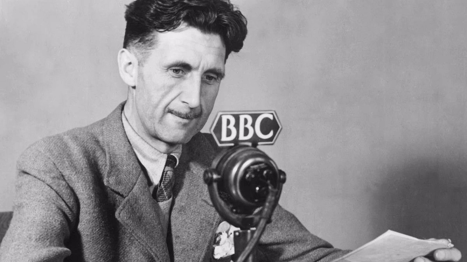 Días de cine: Orwell: 2+2=5 | Ver