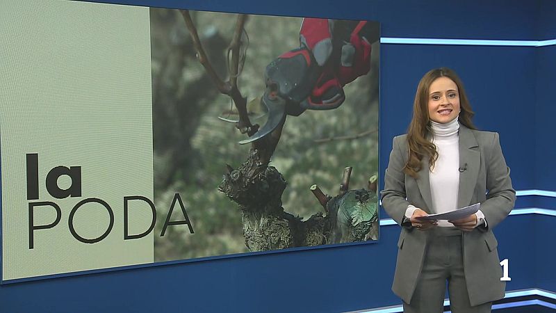 Informativo Telerioja 2 - 27/02/26 | Ver