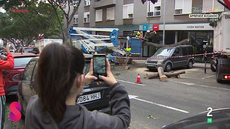 Somos 8 - 27/02/2026 - Somos 8 | Ver