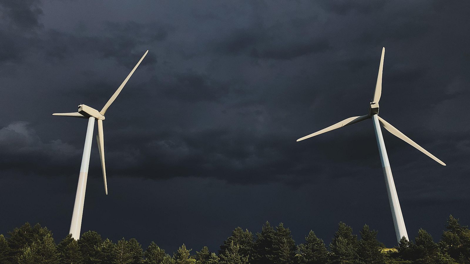 El precio de la electricidad se desploma en febrero | Ver