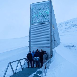El olivo entra en el 'Arca de Noé' de las semillas