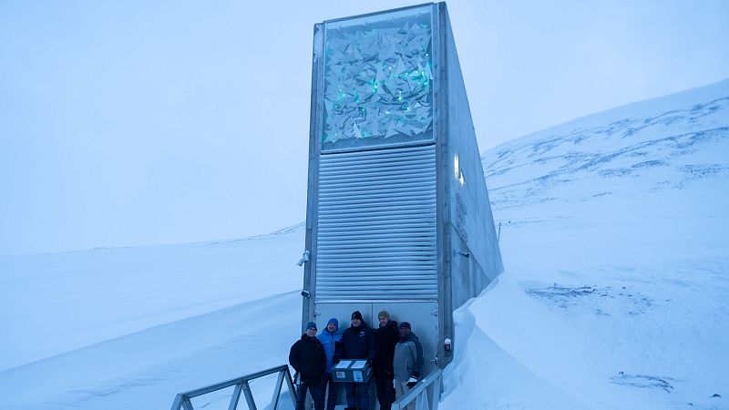 El olivo entra en el 'Arca de Noé' de las semillas - Escuchar ahora
