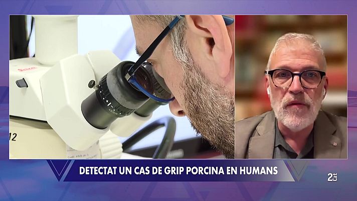 El Vespre - Salut Pública: "La grip porcina és una malaltia molt rara i molt poc freqüent en humans"