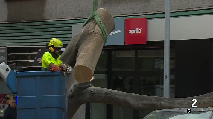Telecanarias - Telecanarias Tarde - 27/02/2026