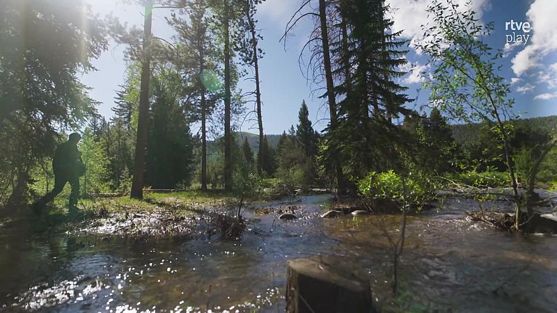 El sistema solar - Episodio 3: Mundos tormentosos - El sistema solar | Ver