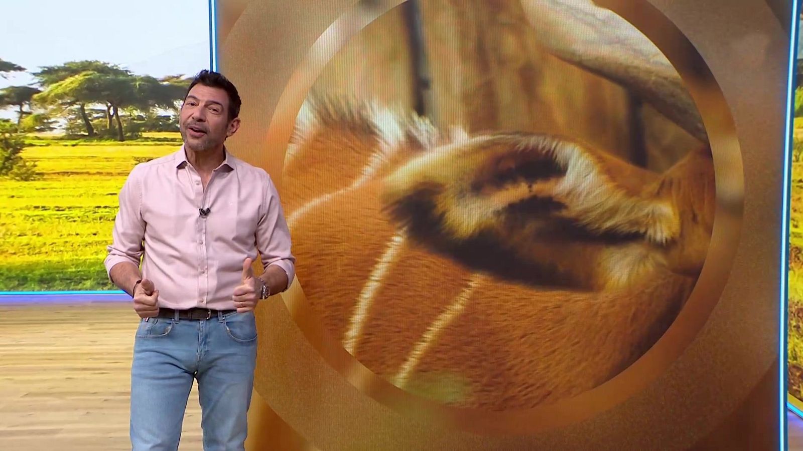 Aquí la Tierra - 01/03/26 - Aquí la Tierra | Ver