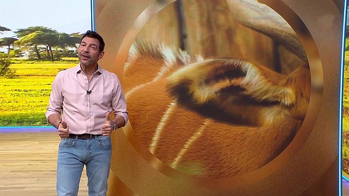 Aquí la Tierra - Aquí la Tierra - 01/03/26