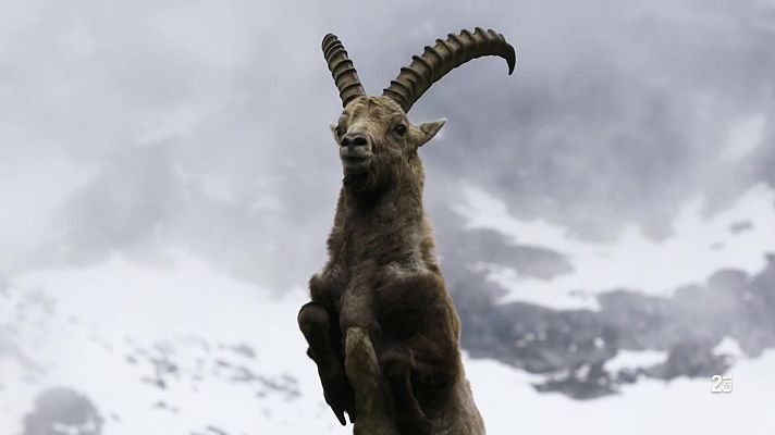 Som Documentals - El temps d'una vida