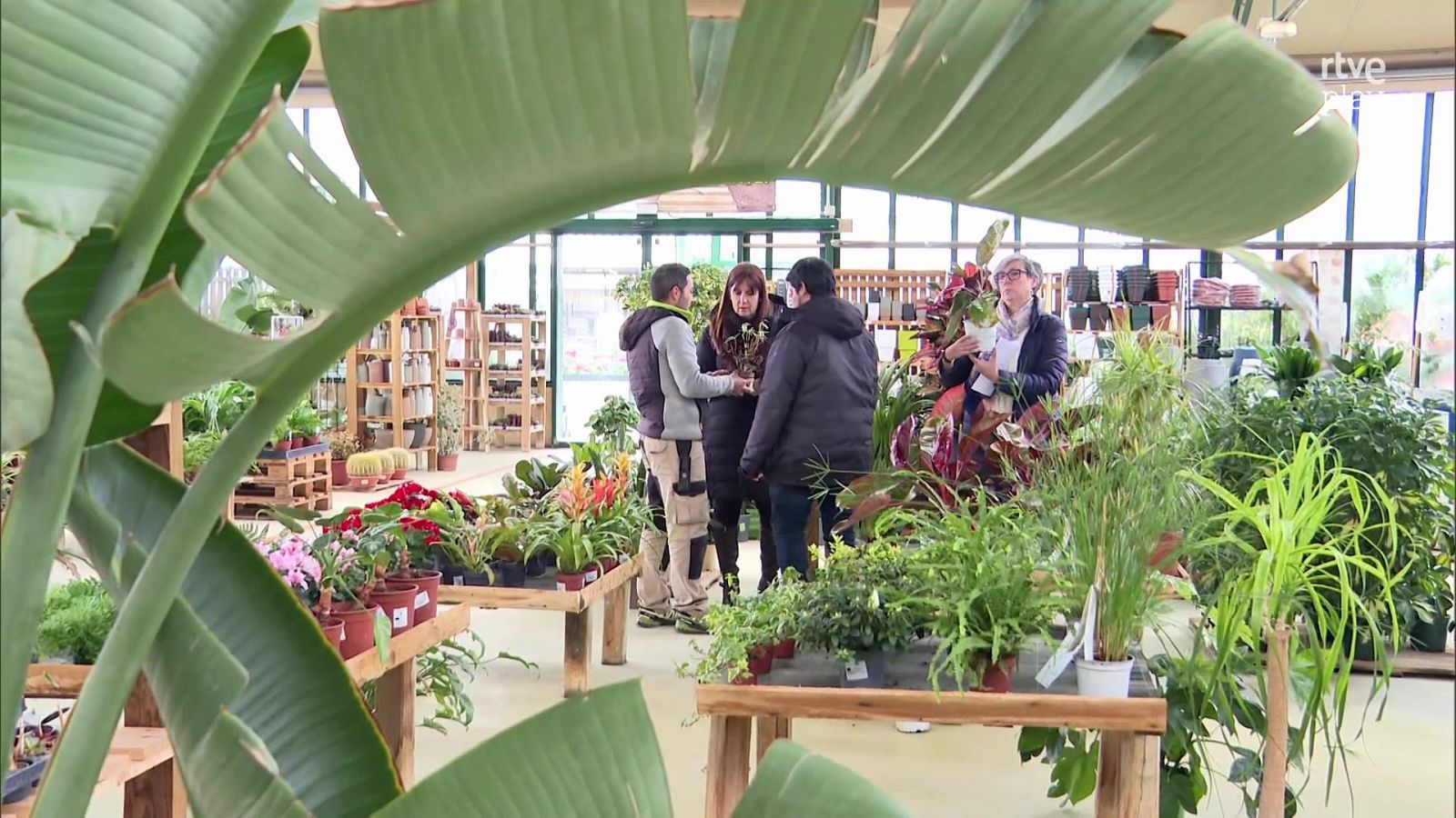 Metidos en jardines - Aquí hay trabajo | Ver