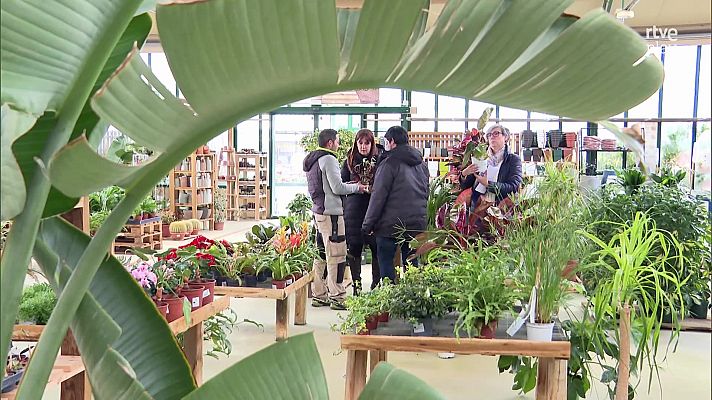 Aquí hay trabajo - Metidos en jardines