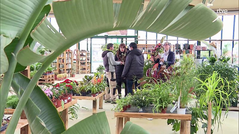 Metidos en jardines - Aquí hay trabajo | Ver