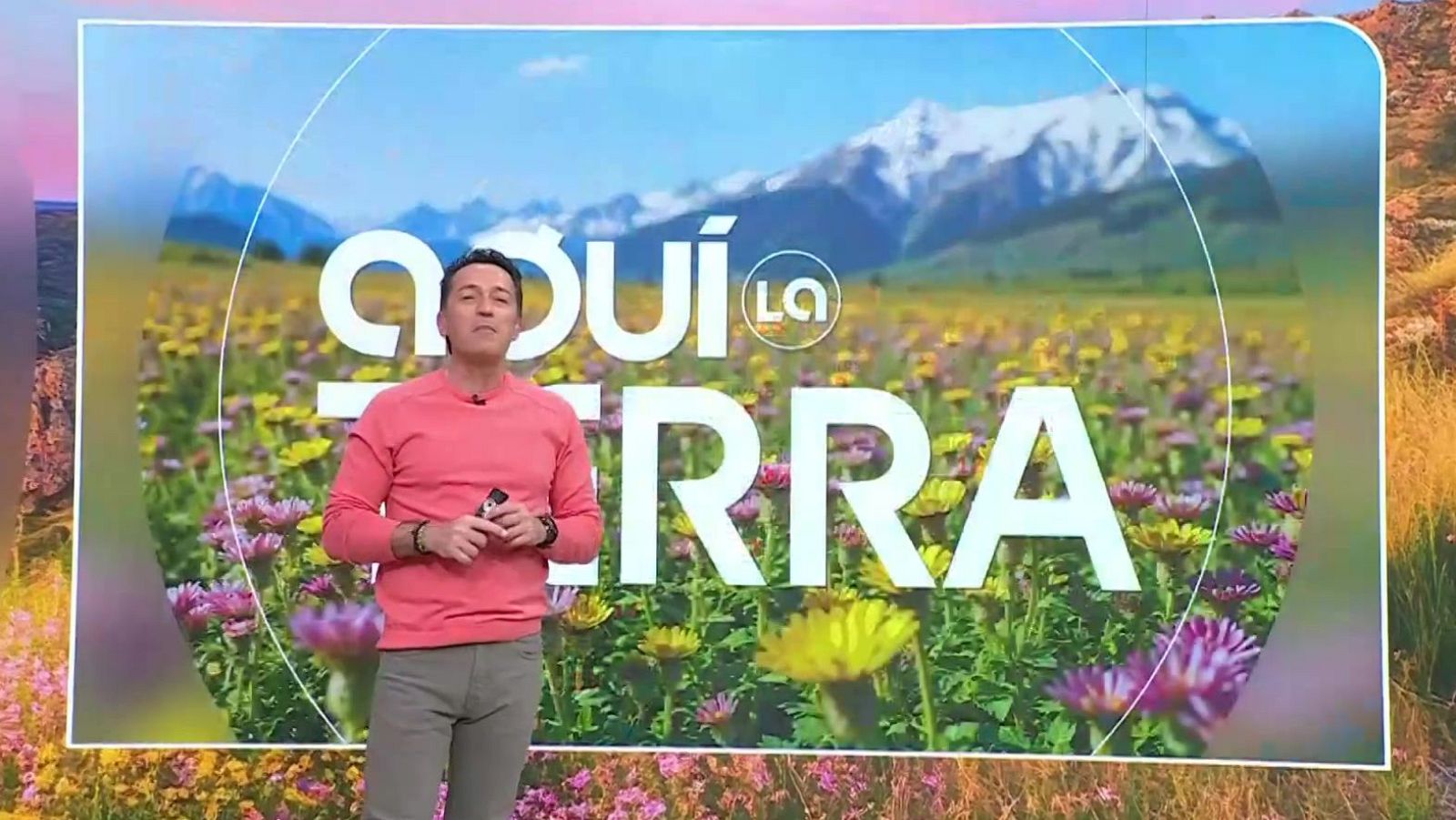 Guineu, cafè, ventada - Aquí la Terra - Aquí la Terra | Veure