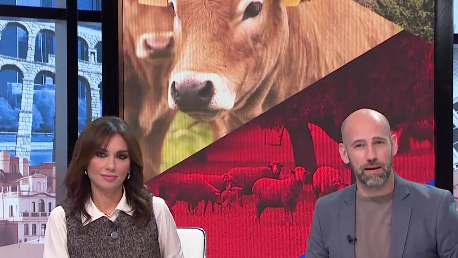 'Directo al grano': Los urbanitas frente al mundo rural - Directo al grano | Ver