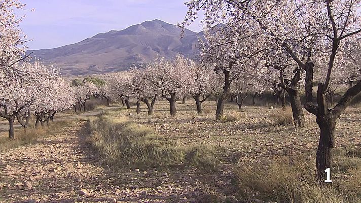 Informativo Telerioja - Informativo Telerioja 2 - 02/03/26