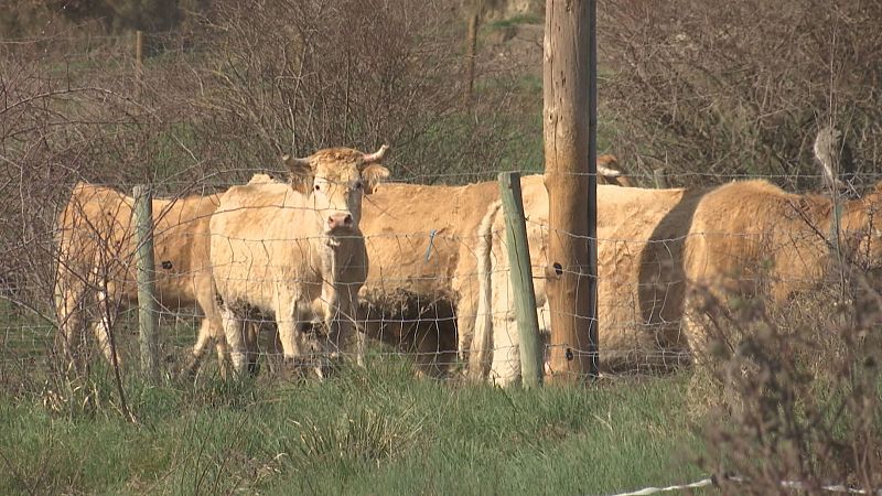 Noticias Aragón - 02/03/26 - Ver ahora