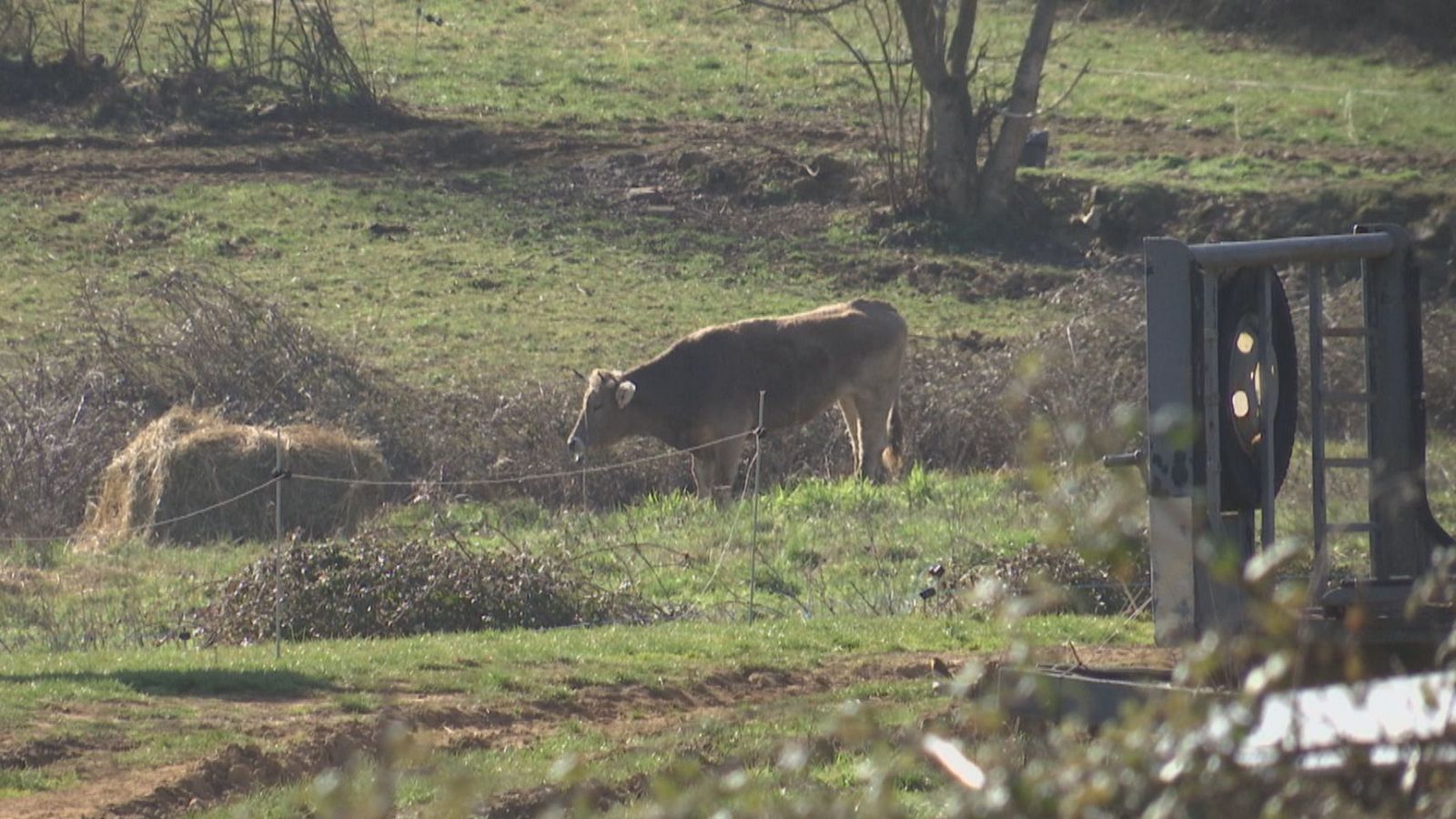 Aragón en 2' - 02/03/26 - Ver ahora