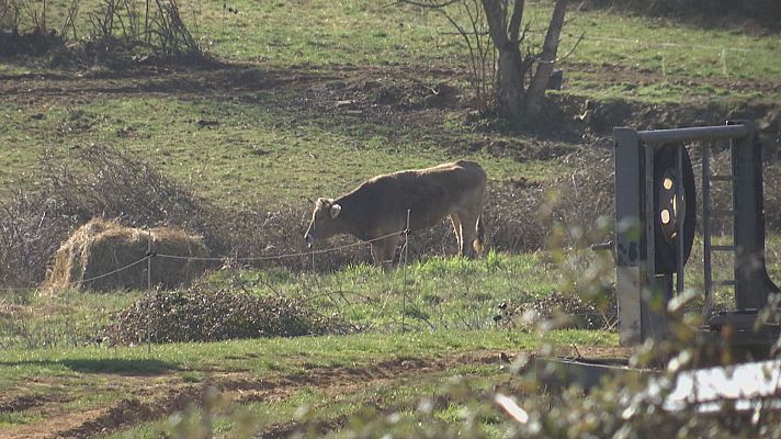 Noticias Aragón - Aragón en 2' - 02/03/26