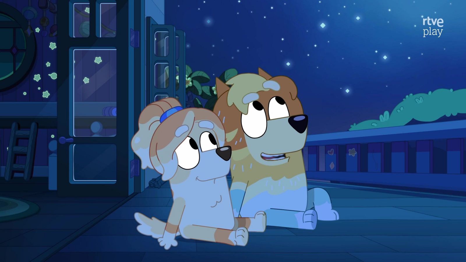 Bluey - Dos canguros - Bluey | Ver