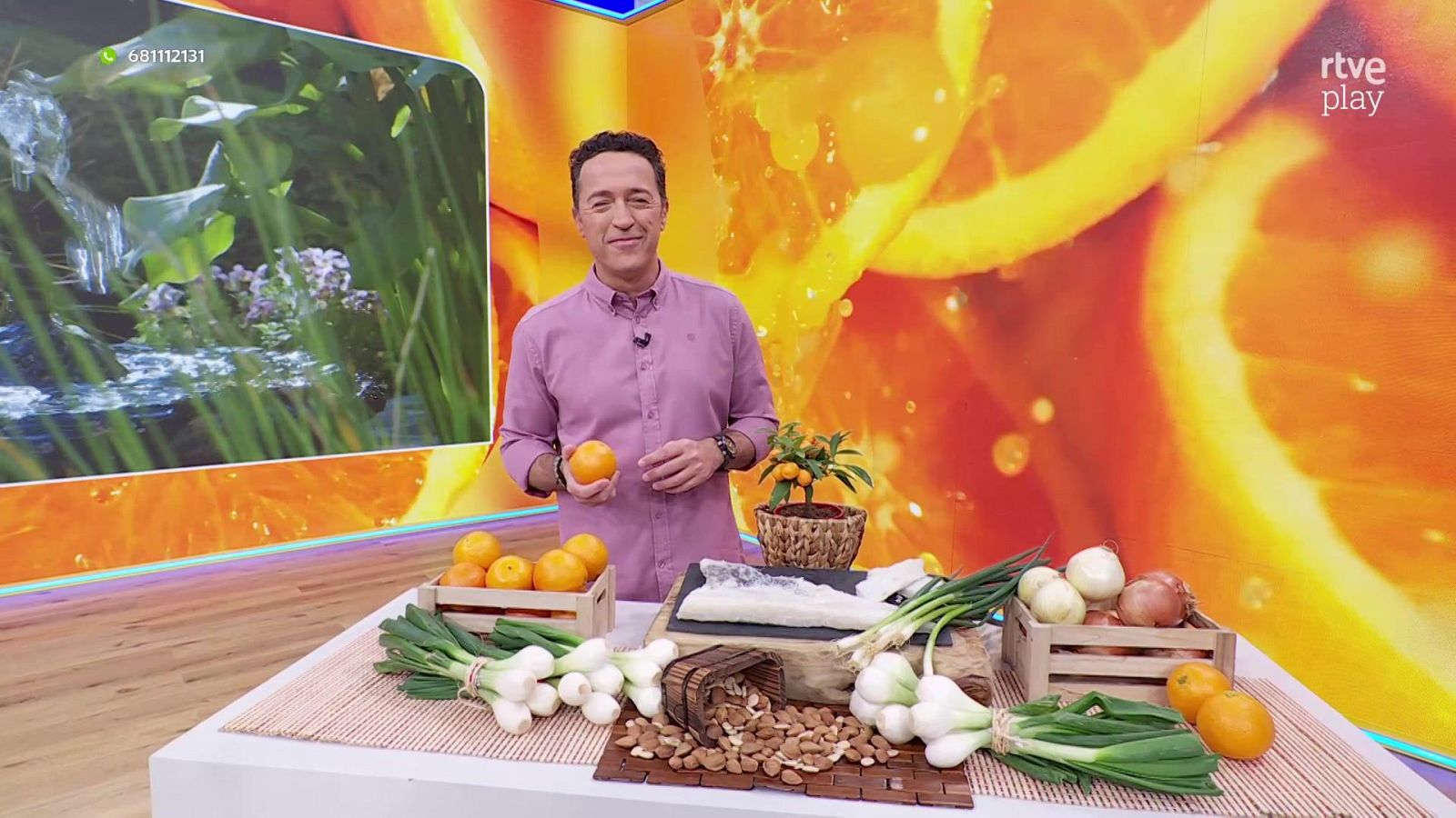 Aquí la Tierra - 02/03/26 - Aquí la Tierra | Ver