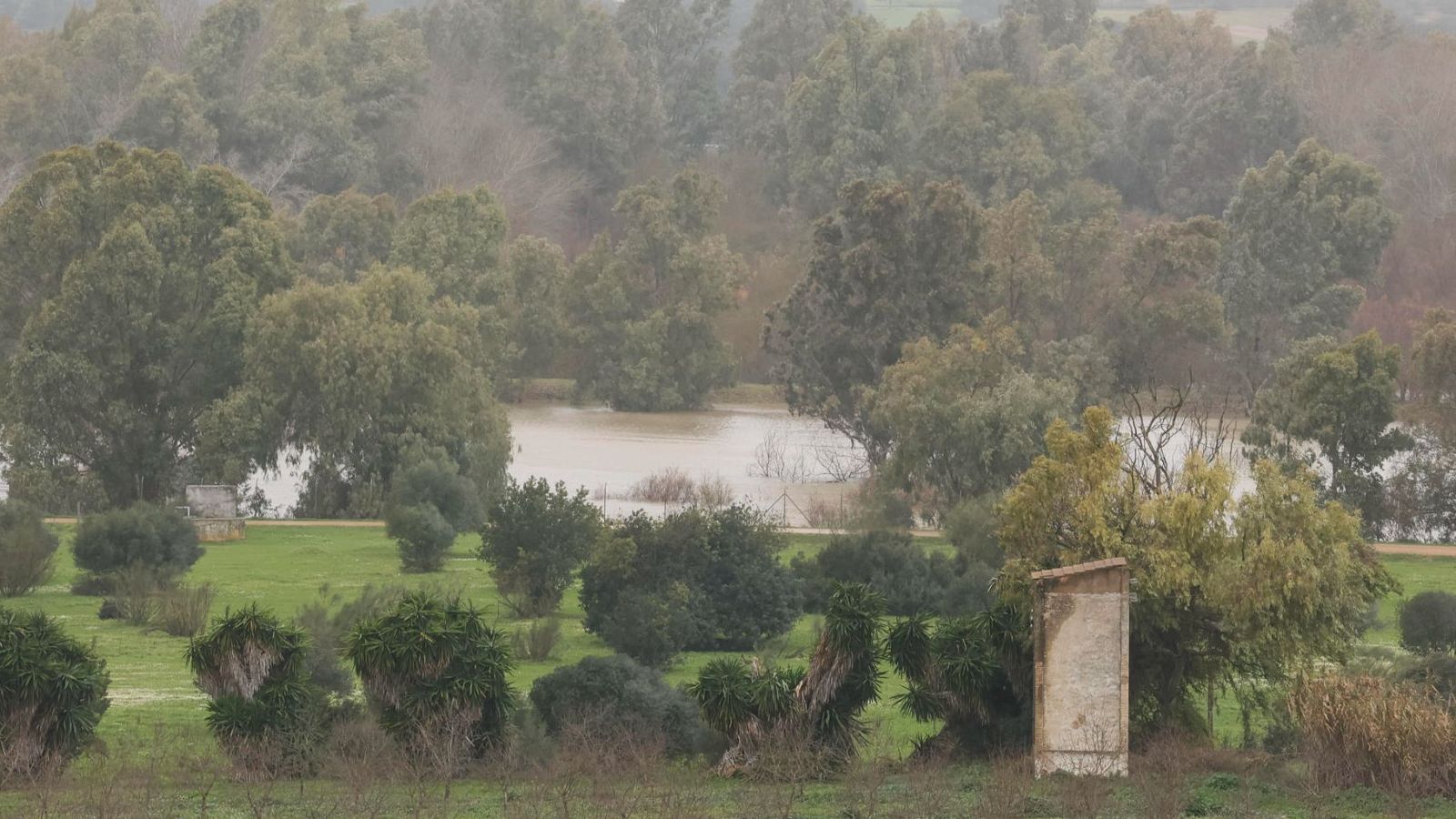 El tiempo hoy 3 de marzo: borrasca en Canarias y Andalucia - El tiempo | Ver