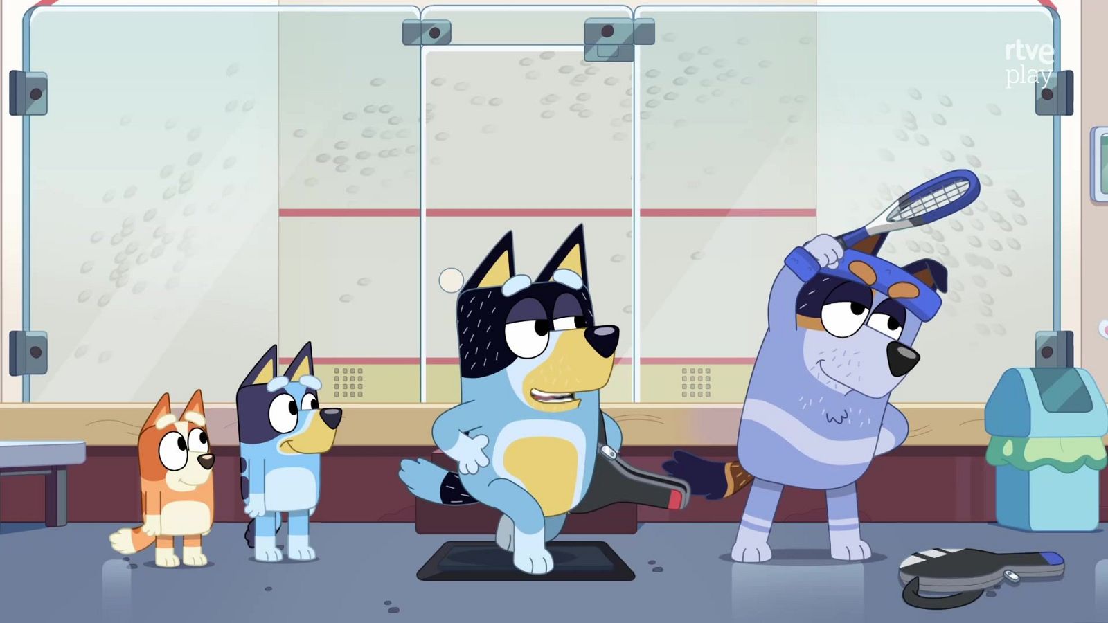 Bluey - Squash - Bluey | Ver