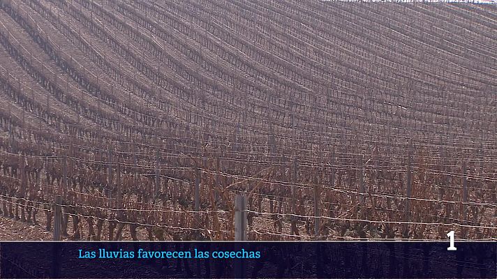 Informativo Telerioja - Informativo Telerioja - 03/03/26