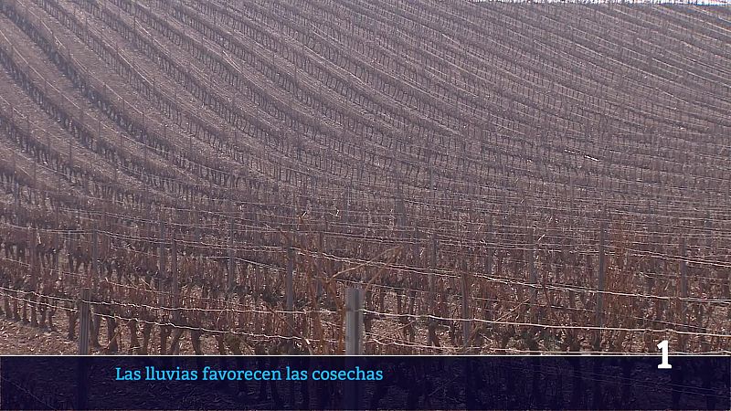 Informativo Telerioja - 03/03/26 - Informativo Telerioja | Ver