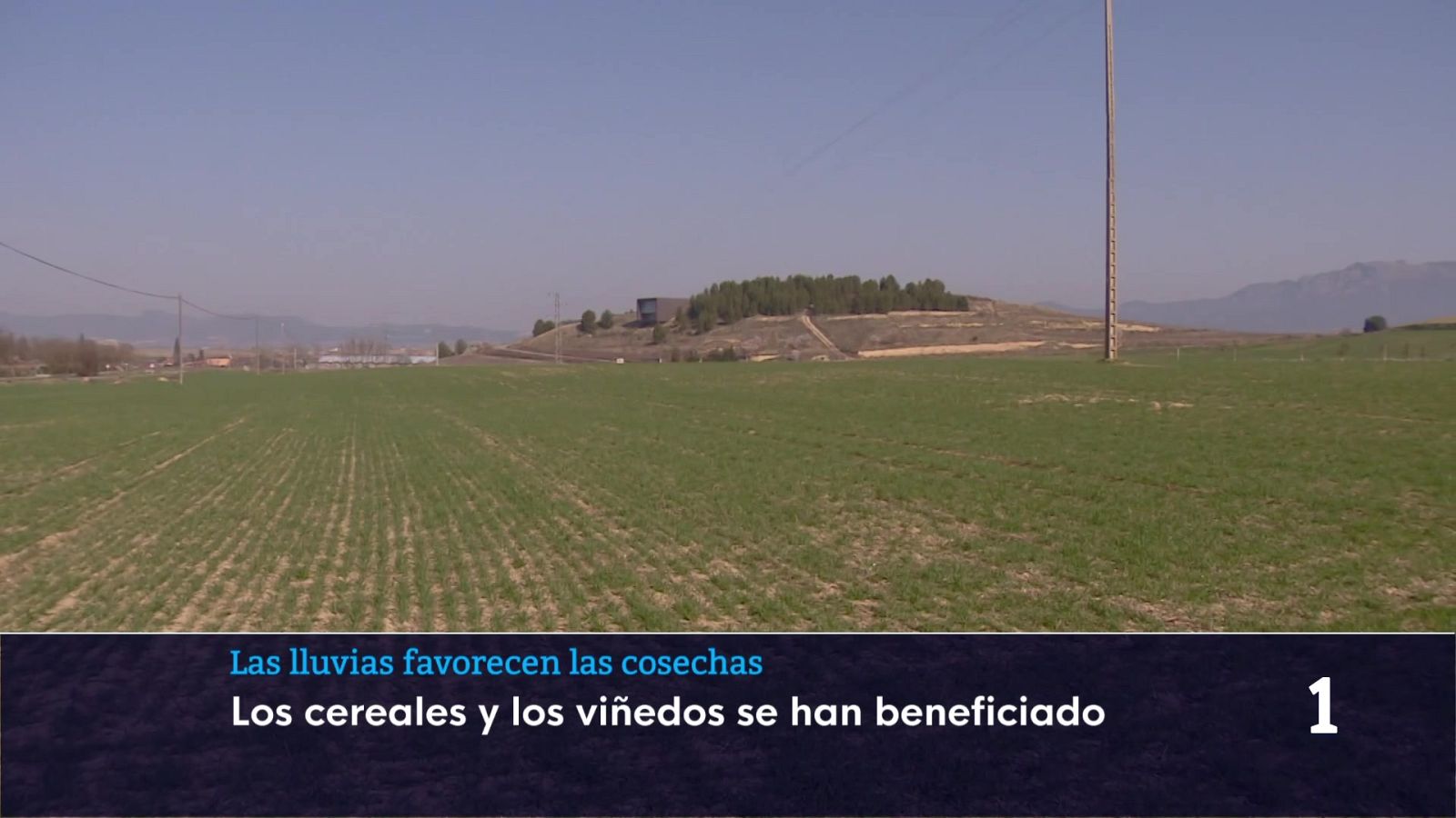 Informativo Telerioja 2 - 03/03/26 - Informativo Telerioja | Ver