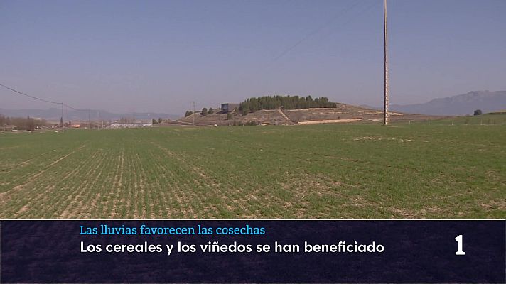 Informativo Telerioja - Informativo Telerioja 2 - 03/03/26