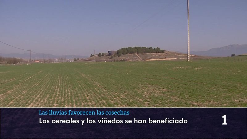 Informativo Telerioja 2 - 03/03/26 - Informativo Telerioja | Ver