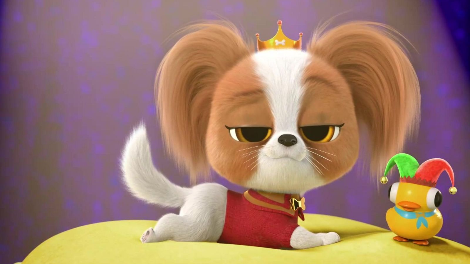 Superkitties - El nuevo rey de la casa - Superkitties | Ver