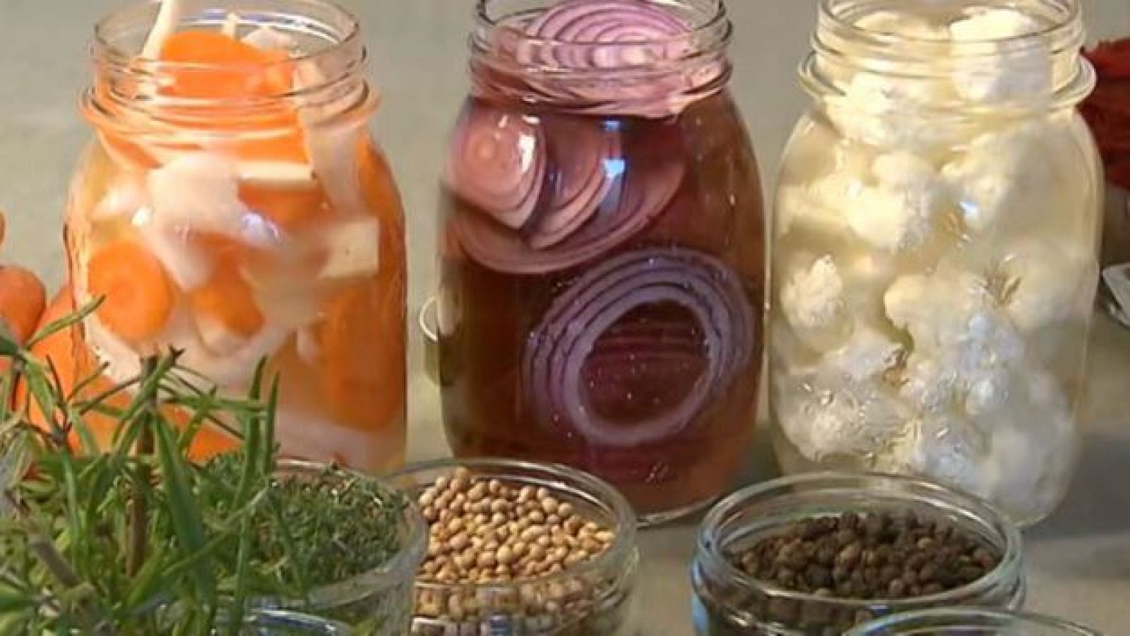 Comando DAG: Los beneficios de los encurtidos para nuestra salud - Directo al grano | Ver