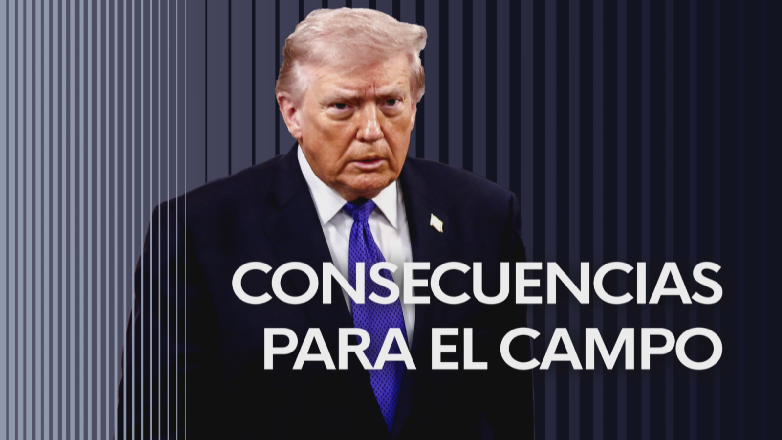 Consecuencias para el campo - Noticias Andalucía | Ver