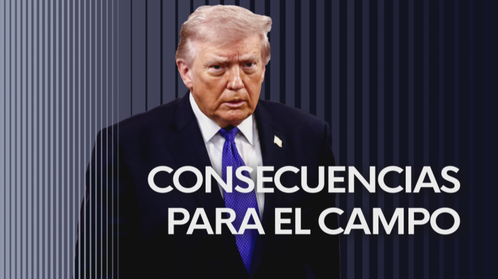 Noticias Andalucía - Consecuencias para el campo