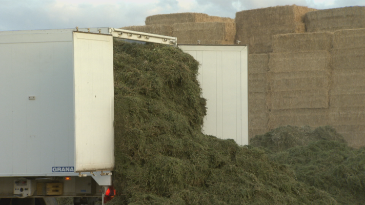 Noticias Aragón - Aragón en 2' - 04/03/26