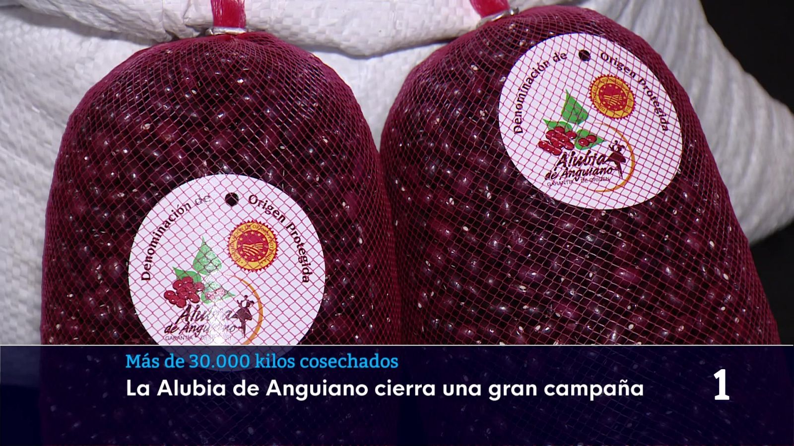 Informativo Telerioja 2 - 04/03/26 - Informativo Telerioja | Ver