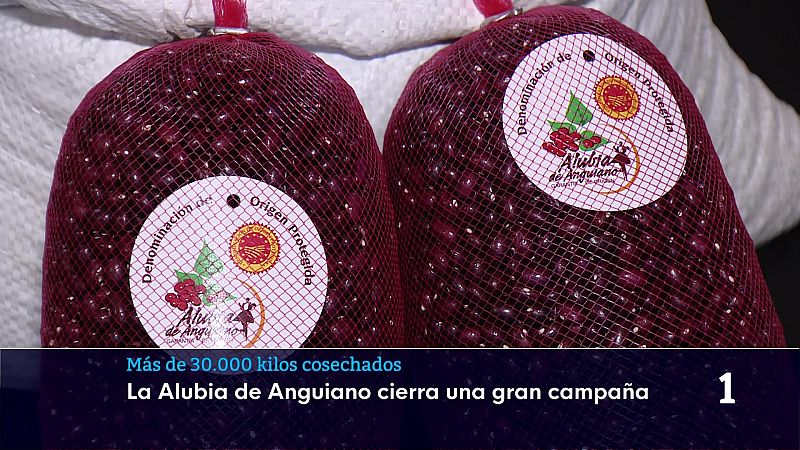 Informativo Telerioja 2 - 04/03/26 - Informativo Telerioja | Ver