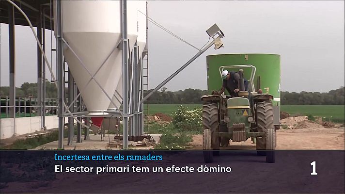 Informatiu Balear - Informatiu Balear 2 - 04/03/26