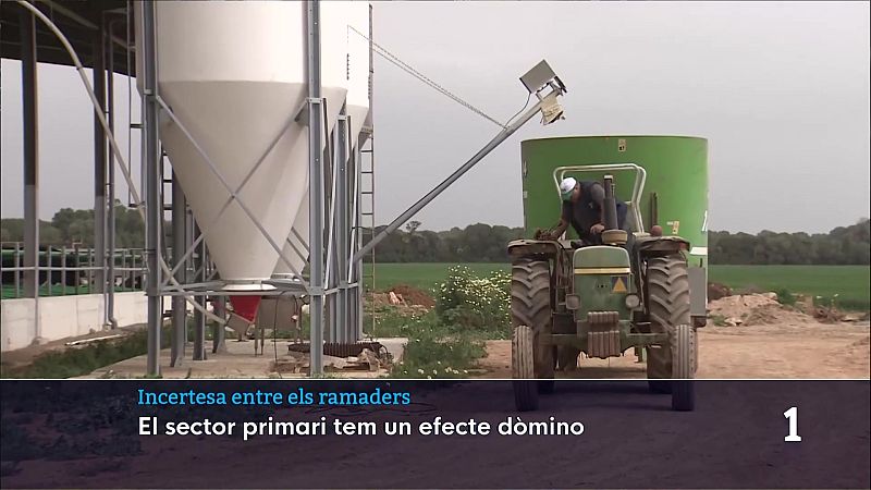 Informatiu Balear 2 - 04/03/26 Veure ara