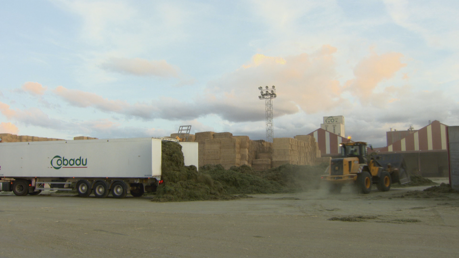 Noticias Aragón 2 - 04/03/26 - Ver ahora