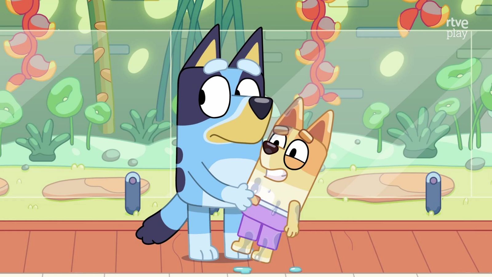 Bluey - Navidad en la piscina - Bluey | Ver