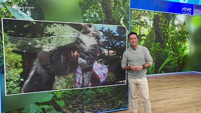 Aquí la Tierra - 04/03/26