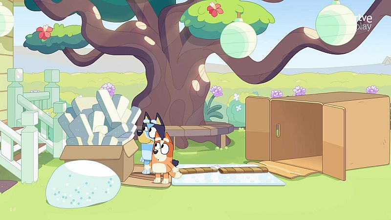 Bluey - Montar muebles - Bluey | Ver