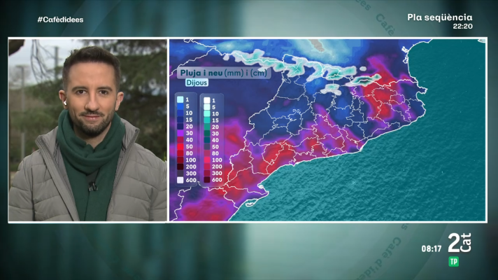 El temps - Temporal de llevant: pluja, neu, vent i mala mar