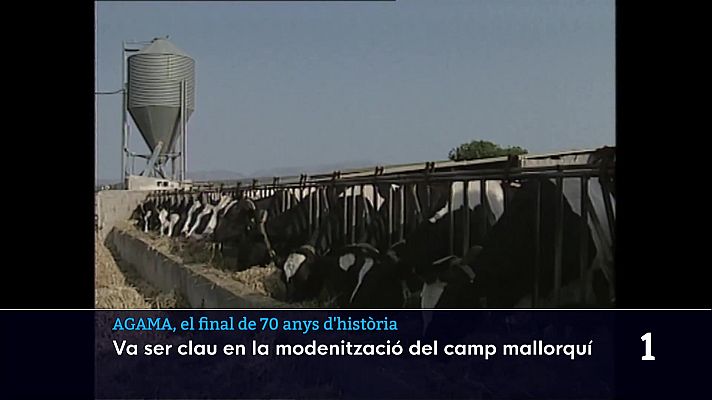 Informatiu Balear - AGAMA, el final de 70 anys d'història