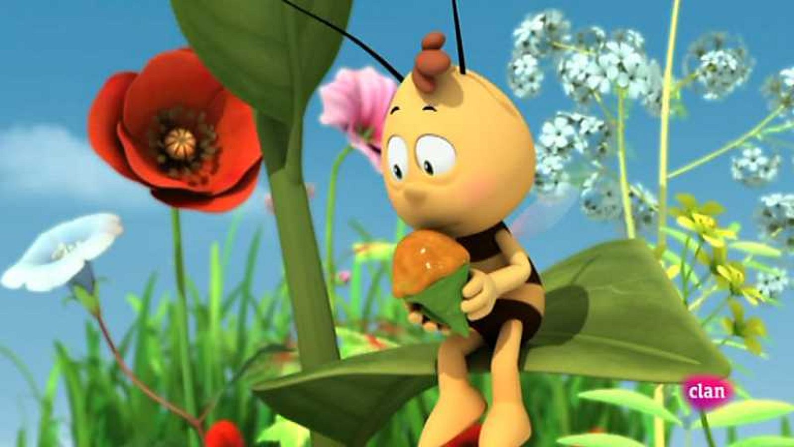 Madre coraje - Maya | Ver